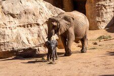 construcción de rocas artificiales