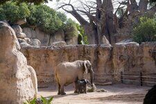 rocas artificiales decorativas