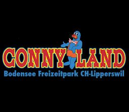 DISEÑO Y CONSTRUCCION DE PARQUES DE OCIO