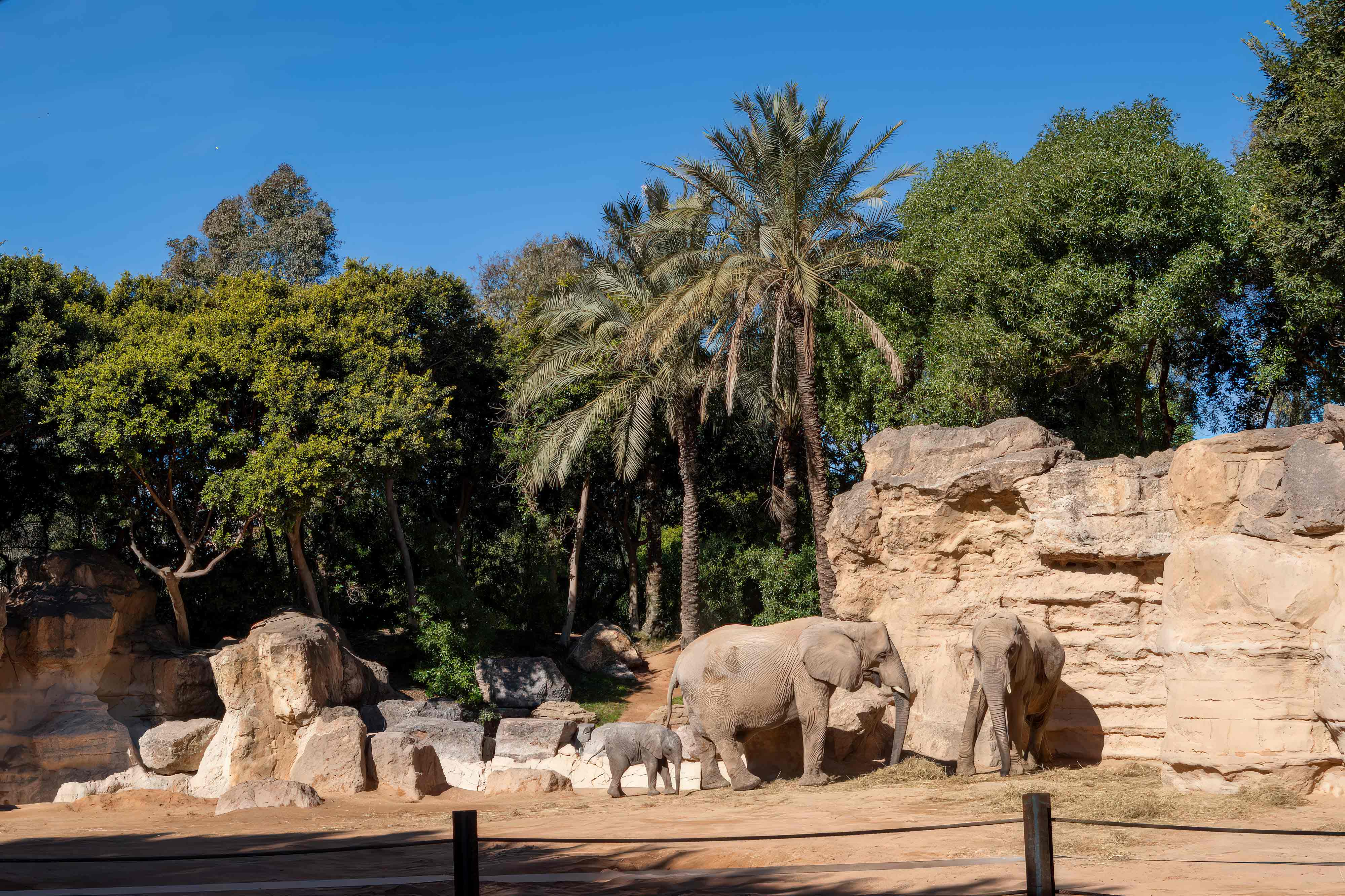 construcción de zoológicos temáticos parques zoológicos tematizados